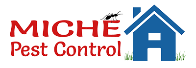 Top 3 Most Preferred Pest Control Service in South end on Sea